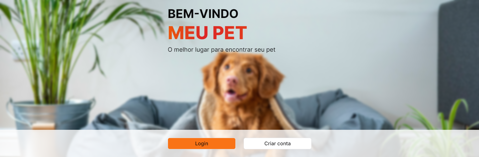 🐶 Meu Pet